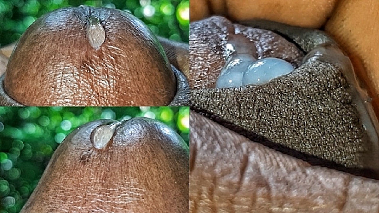 Lots of Delicious Precum peeks out and slowly Drips down my BBC got me so  Horny and excited!