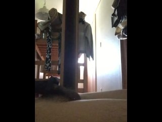 [Voyeurism! ] Korean idol who masturbates many times from the morning! [Korean idol holiday]