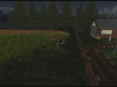 Ponygirl in Bodystocking Gives Head and Pulls a Cart