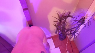 在帖子上用假阳具操我的屁股