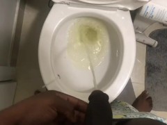 Piss Compilation (One Day of Piss) 