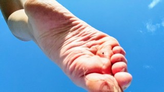 Des pieds nus séduisants dans la nature veulent se faire lécher