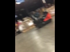 Piggy august weigh in 