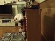 Preview 5 of B(l)ockbuster 19 Sibel Christmas Trailer