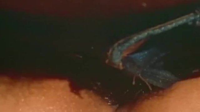 Top 10 Vintage 70s Gay Porn Scenes Compilation - FalconStudios