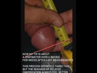 solo male, penis growth, true measurement, 6 inches