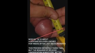 UPDATE GAINS FROM PENIS GROWTH TRUE MEASUREMENTS