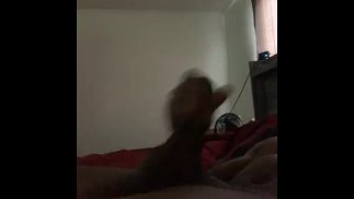 在房子里无聊！决定我需要制作一些视频