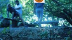 Playlist Thumb 219572501-2