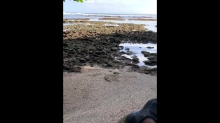    Nuez de anacardo rápido en la hermosa playa 