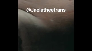 Jaelatheetrans creme em todo um pau grande