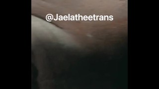 Jaelatheetrans сливает сливки по всему члену 