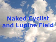 Naked Cyclist and Lupine Field - Screenshot 1 of 16 - Exhibitionist