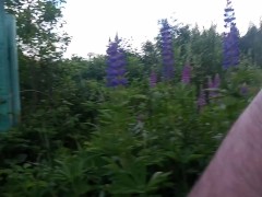 Naked Cyclist and Lupine Field - Screenshot 6 of 16 - Exhibitionist