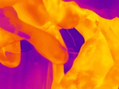 Thermal Camera Porn