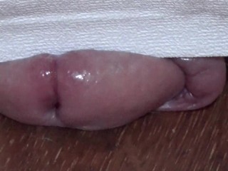 231lb BBW HARD WEDGE & VANS_COCK & BALL CRUSHPT1