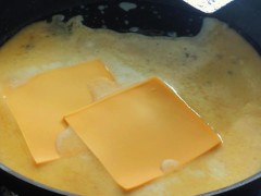 French Fries with cheese