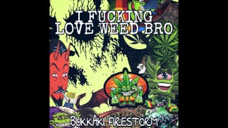 МЫ ВЕРНУЛИСЬ ИЗ САЙПЕР-ТЮРЬМЫ, БОЛЬШЕ ВИДЕО КОНЧИТ, ДЖЕНЕРИК СТОУНЕР-МЕТАЛ СЕГОДНЯ, АД ЗАВТРА, АД