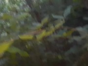 Preview 6 of Pissed into my girlfriend's mouth in the forest, and then cum from her tongue - lesbian_illusion