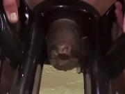 Preview 5 of Man moaning while using cock milking machine