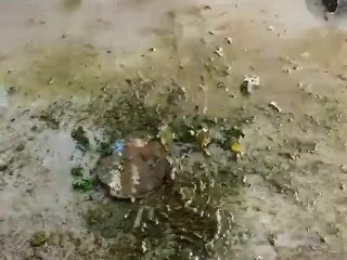 Cleaning up after making custom request