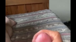 Morning wood