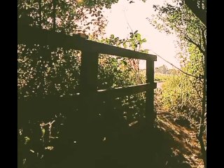 Fishnets and naked beside road