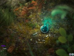 Lust Academy - 30 Enchanted Woods