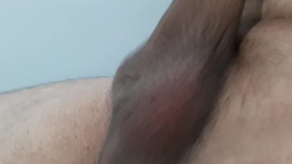 Arxidia Gemata Me Sperma