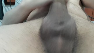 Arxidia Gemata Sperma