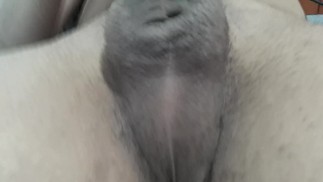 Arxidia Gemata Zesto Sperma