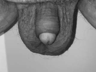 Testicle Workout in Black and White , up and down Lift those Balls , Heavy Sack