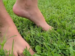 Just a stroll in the grass.
