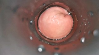 Escancarado meu cu a um botão de rosa com um túnel de plug anal (plug oco) | Horsengine