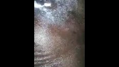 Creampie