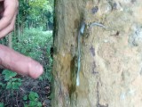 Big Cock Cumshot on tree