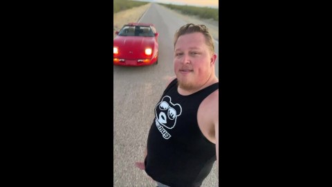 Hard Bear Dick in the Road