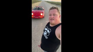 Hard Bear Dick in the Road
