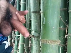 Indian boy cumming on bamboo