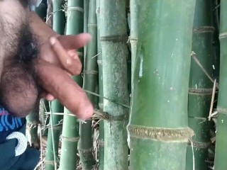 Indiase Jongen Klaarkomen Op Bamboe, Handjob Cumshot