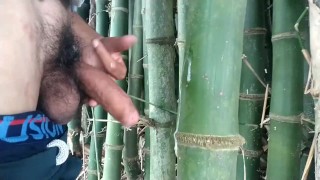 Indiase Jongen Komt Klaar Op Bamboe Handjob Cumshot