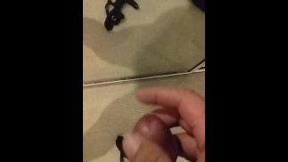 新西兰公鸡自慰射精