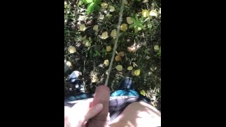 POV 她为我掏出我的鸡巴，把它放在原地，在我们露营地的灌木丛中撒尿