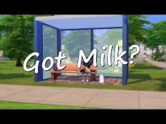 Got Milk?