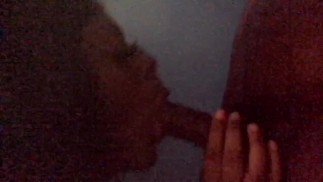 Порнозвезды обожают сосать этот член!!