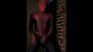 spiderman jouit 2