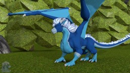 Nighdruth Dragon Growth HD