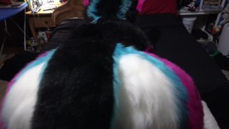 Shuly Hump (без звука)