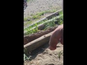 Preview 4 of Johnholmesjunior showing off his monster cock at busy vancouver nude beach