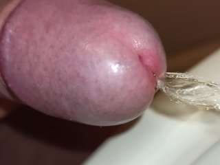 close up uncutted foreskin morning pee